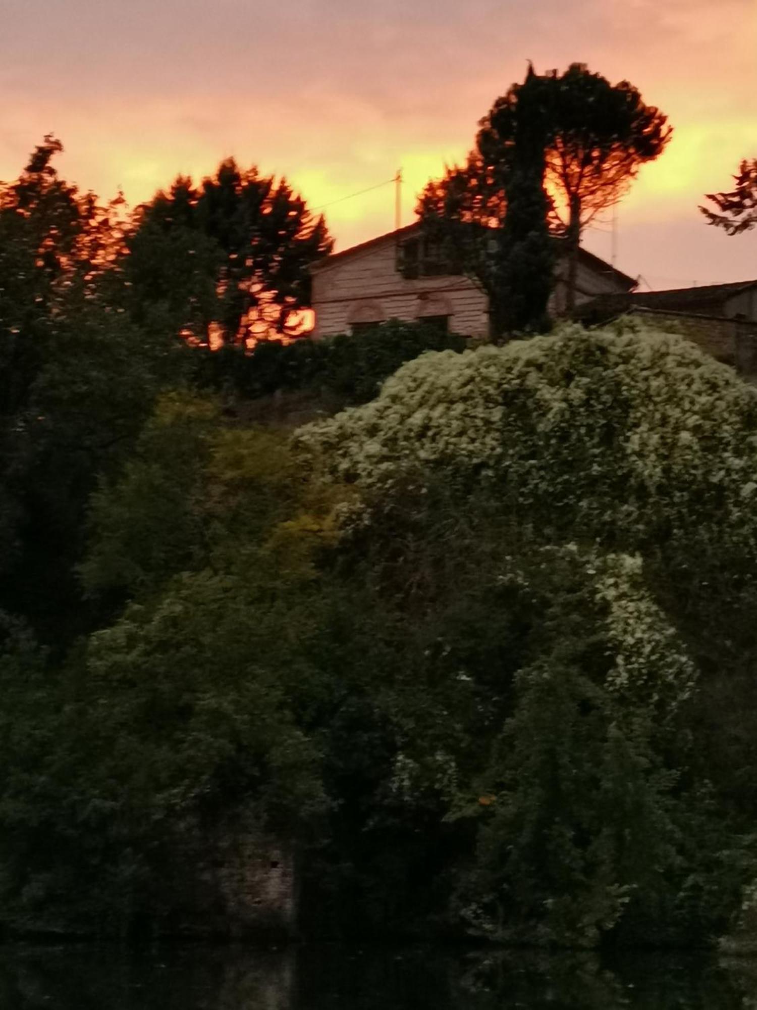 La Planque De L'Eclusier Βίλα Castelnau-de-Lévis Εξωτερικό φωτογραφία